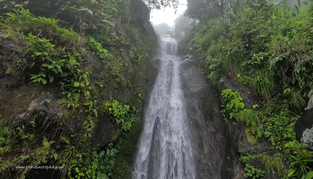 Kurseong Visit