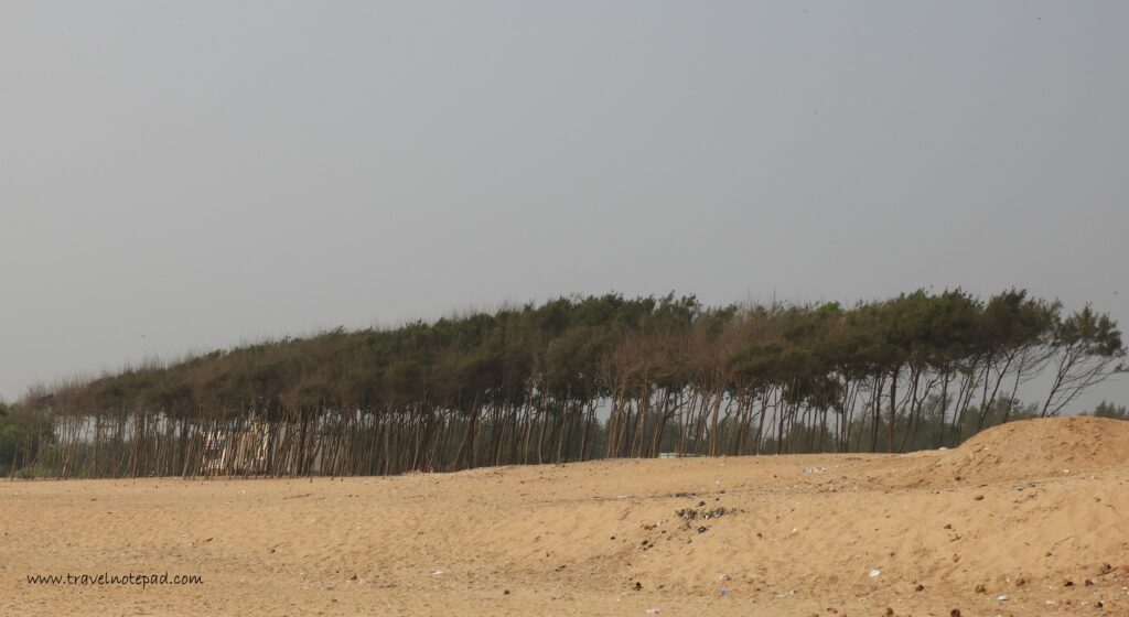 puri tour plan